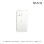 iPhone 12 Pro Max Backglass Silver