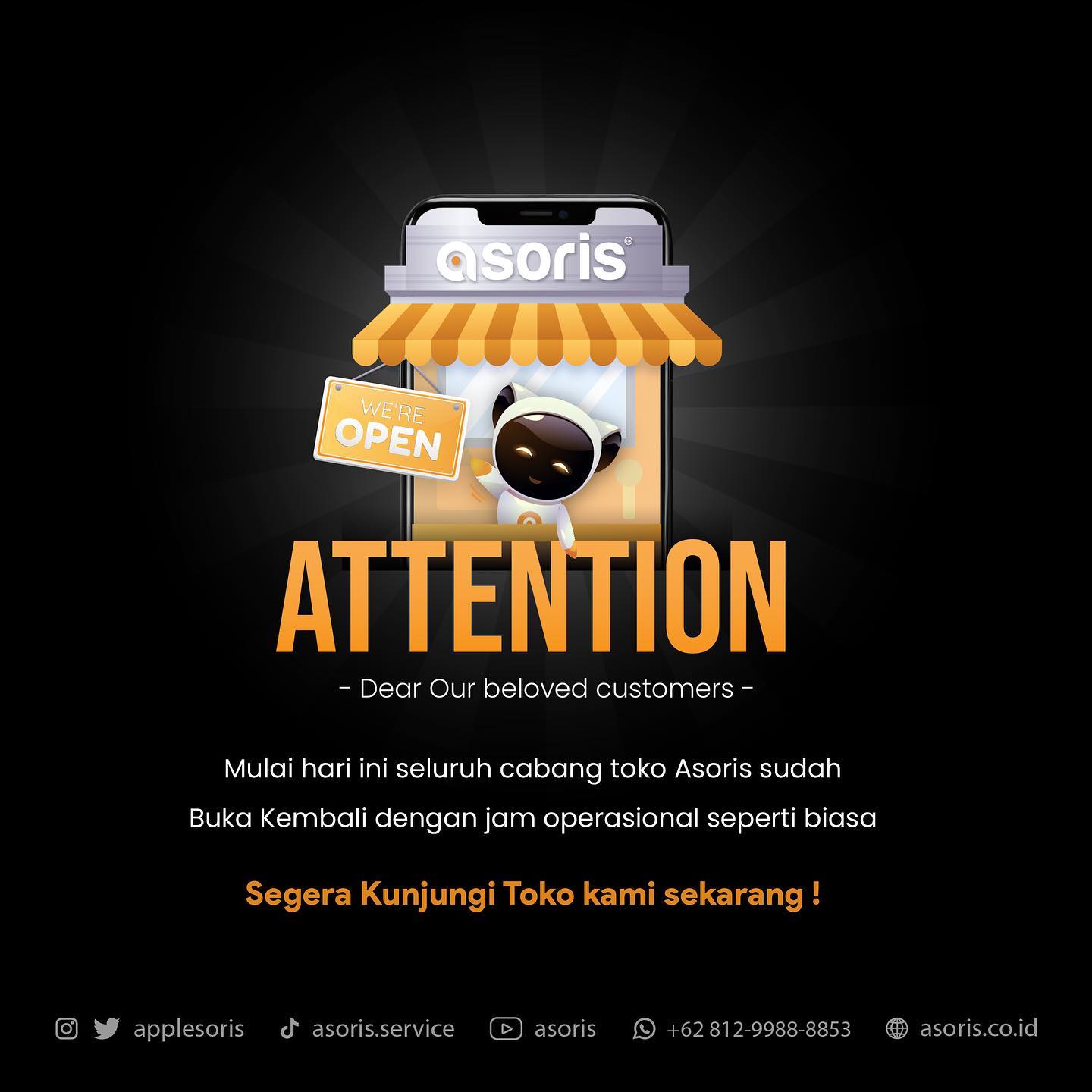 iPhone Parts | ASORIS Cart